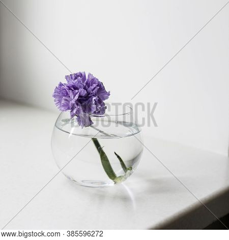 Bridal Bouquet Of Lilac Carnations In A Round Glass Vase As Table Decoration