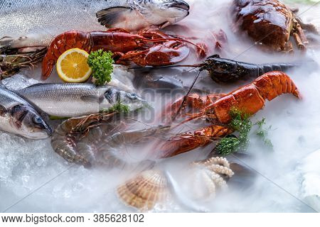 Variety of fresh luxury seafood, Lobster salmon mackerel crayfish prawn octopus mussel red snapper scallop and stone crab, on ice background with icy smoke in seafood market.