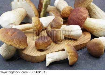 Boletus Mushrooms Prepared For Cooking. Boletus On A Black Background. Boletus Edulis. Closeup