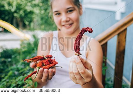 Girl Holding Dried Red Chili Peppers In Her Palms.