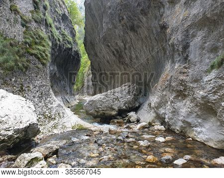Cheile Rametului Gorges Wild Natural Park River Area. Waterfall On Small River In Dense Forest In Al