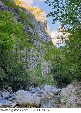 Cheile Rametului Gorges Wild Natural Park River Area. Waterfall On Small River In Dense Forest In Al