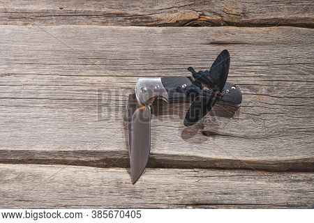 Red Exotic Butterfly Isolated On White Background
