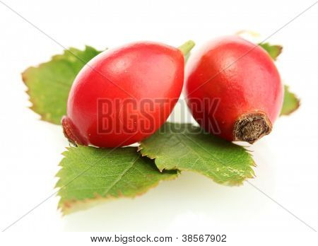 กุหลาบทันสุกบนใบสีเขียว แยกต่างหากบนพื้นสีขาว