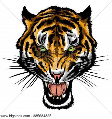 Tiger Anger. Vector Illustration Of A Tiger Head.