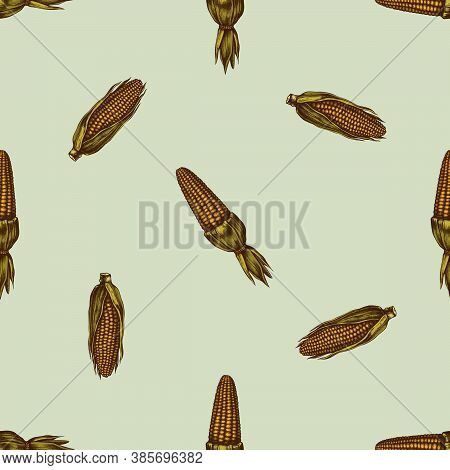 Seamless Pattern With Hand Drawn Colored Corn Stock Illustration