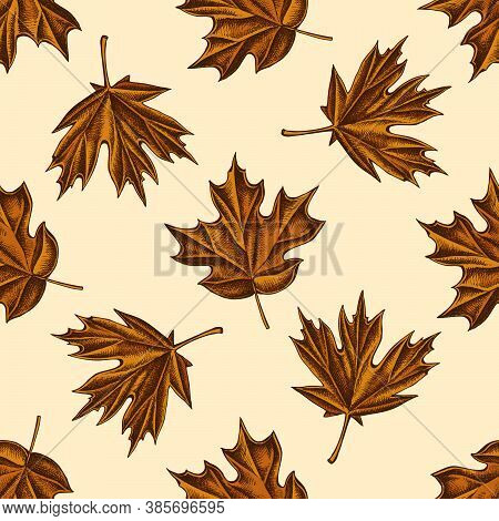 Seamless Pattern With Hand Drawn Colored Maple Stock Illustration