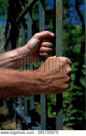 Two Hand Holding Steel Bars At A Fence