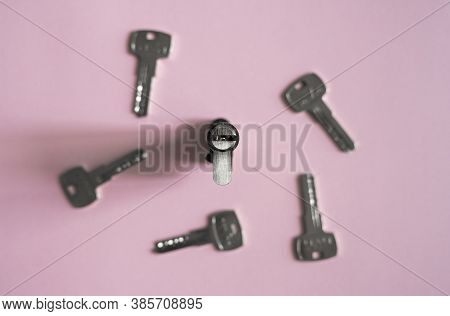 A Door Lock Cylinder Core With Keys On The Pink Background. The Cylinder Of The Lock With Keys. Inst