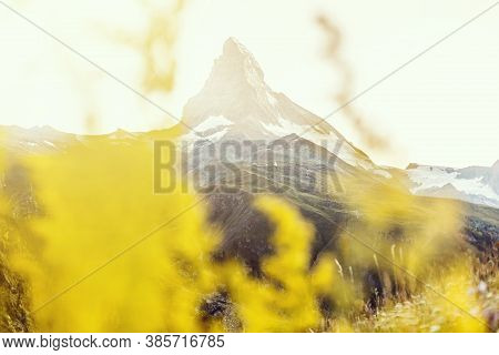 Zermatt, Switzerland. Matterhorn Mountain Near Grindjisee Lake With Flowers In The Foreground. Canto