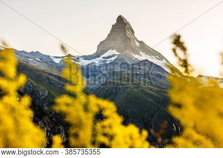 Zermatt, Switzerland. Matterhorn Mountain Near Grindjisee Lake With Flowers In The Foreground. Canto