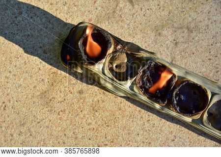 Outlets With Switche Caught Fire In Room. Overloaded Electrical Current Or Short In Device From Many