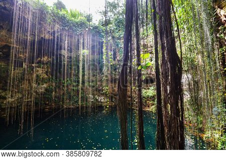 Unusual natural tropical  landscapes - Ik-Kil Cenote,  Mexico