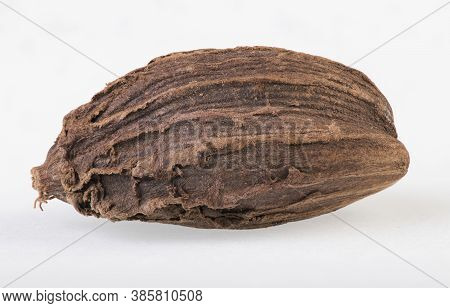 Close-up Of Single Indian Black Cardamom Seedpod On An Isolated White Background.