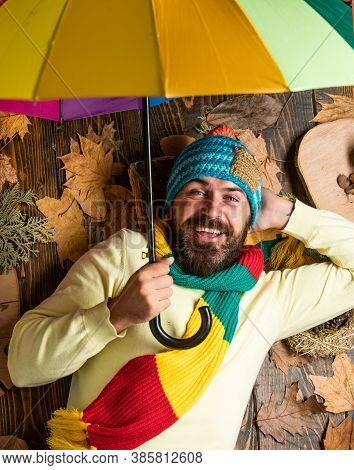 No More Rain. Time To Rest. In Love With Nature. Any Weather Is Good. Bearded Man Among Autumn Maple
