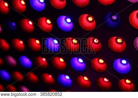Led Full Spectrum Grow Lights For Growing Indoor Plants