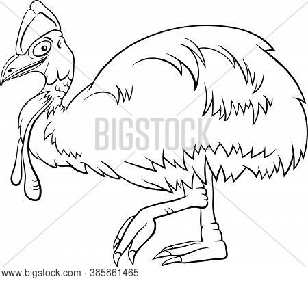 Black And White Cartoon Illustration Of Funny Cassowary Bird Animal Character Coloring Book Page