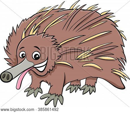 Cartoon Illustration Of Echidna Wild Animal Character