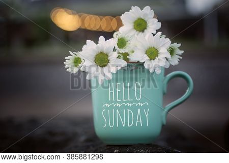 Sunday Coffee. Hello Sunday Card And Greeting Concept. With White Daisy Flowers On Sea Rock And The 