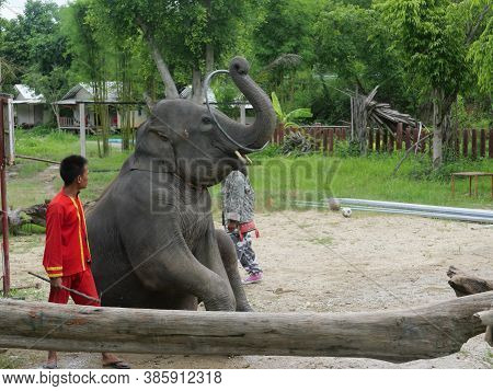 28 June 2020, Elephant Farm Kariang Roum Mit In The North Of Thailand, Chiang Rai. Thailand