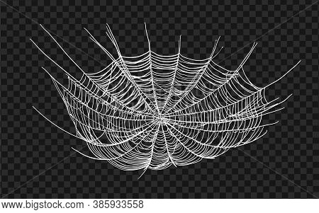 Halloween Monochrome Spider Web And Spiders Isolated On Black Background. Hector Venom Cobweb Set. V