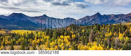 Golden Leaves Of Aspen Trees In The Beautiful Rocky Mountains Of Colorado.the Sneffels Range.