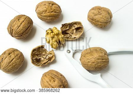Close Up Of Walnut And Nutcracker. Freshly Cracked Walnut In Nutcracker On White Background