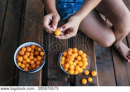 The Girl Processes Yellow Plums Before Making Jam.