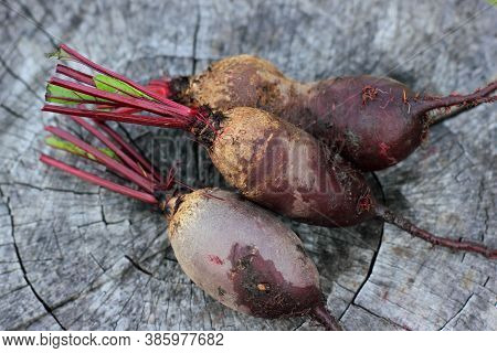 Fresh Organic Beet, Beetroot On Wood Texture
Fresh Vegetables Straight From The Garden. Healthy Vege