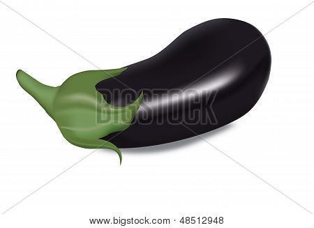 신선한 가지