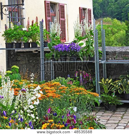 Germany. Tubingen.