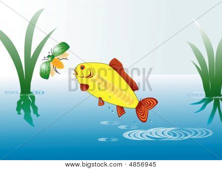 Fish_bug