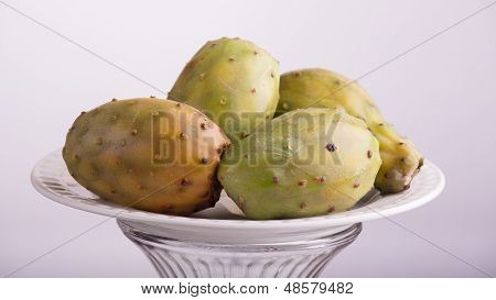 Prickly Pear Cactus