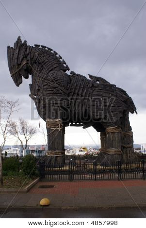 Paard