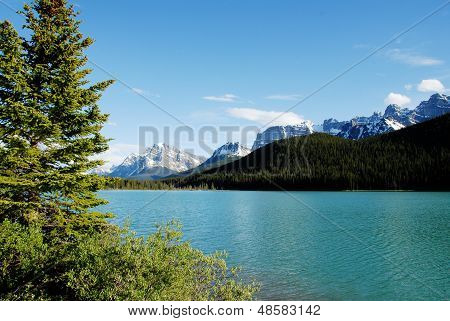 Waterfowl Lake,canadian Rockies,canada