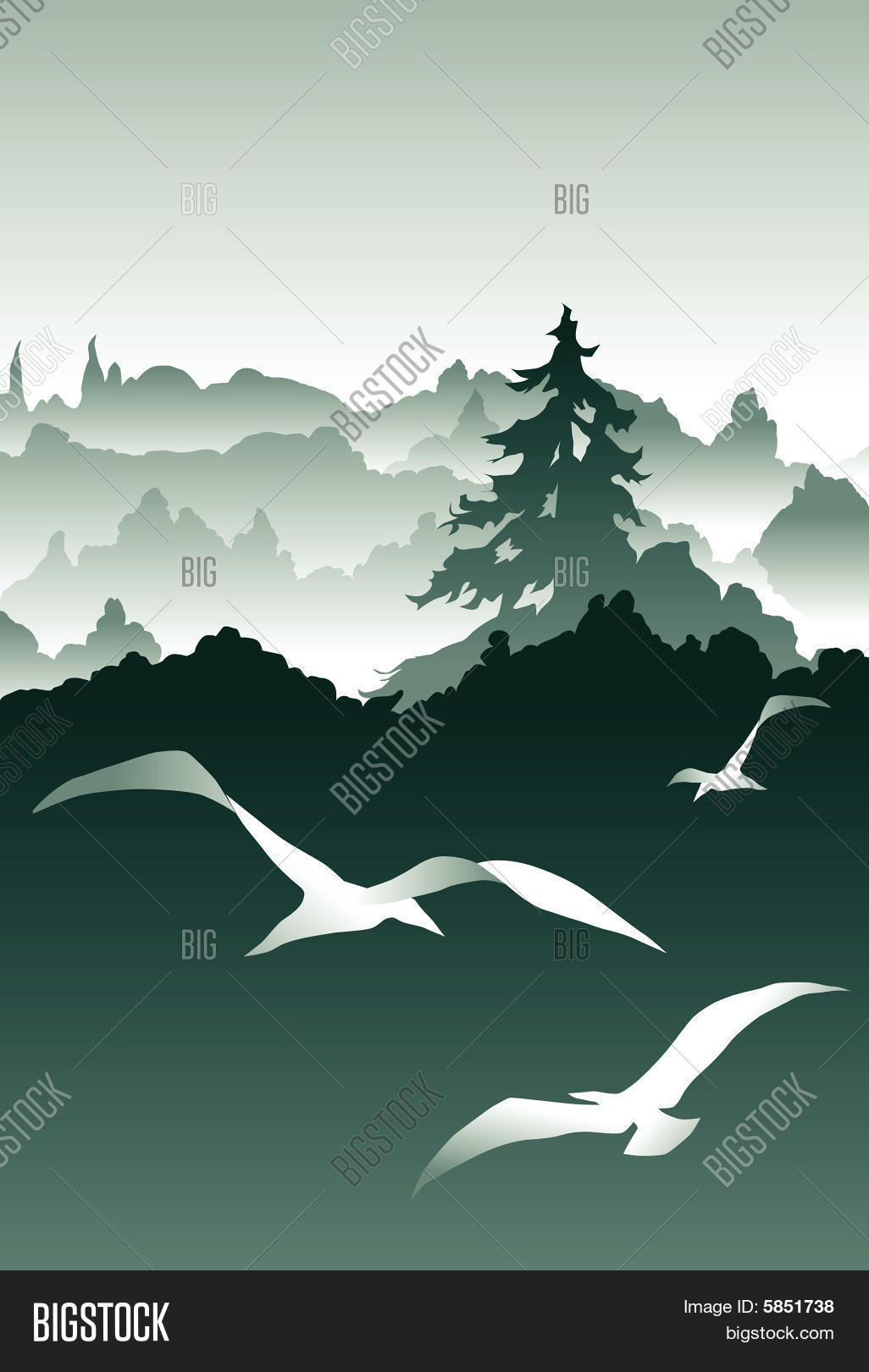 Image Preview
