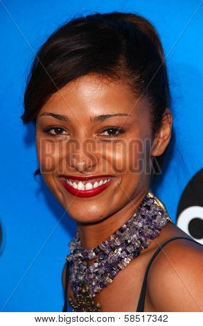 PASADENA, CA - JULY 19: Meta Golding at the Disney ABC Television Group All Star Party on July 19, 2006 at Kidspace Children's Museum in Pasadena, CA.