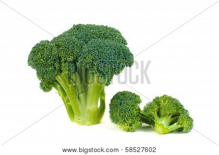 fresh broccoli on a white background