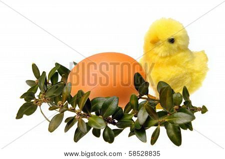 Easter Chicken Egg Boxwood Isolated