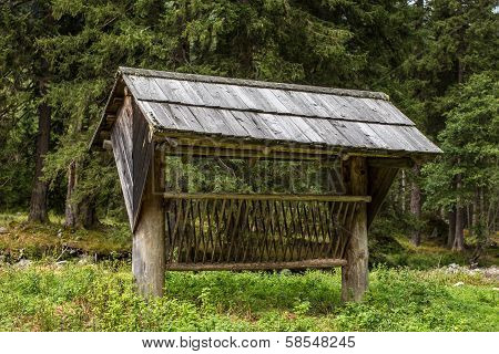 Feeder Of Deer In The Forest