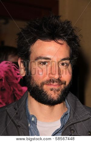 Josh Radnor at the 