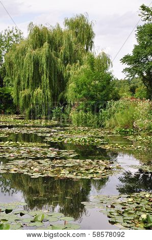 The garden of the famous Painter Claude Monet