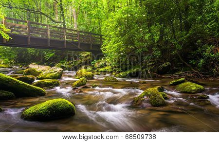 Cascades And Walking Bridge Over The Oconaluftee River, At Great Smoky Mountains National Park, Nort