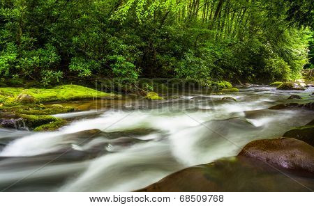 Cascades In The Oconaluftee River, At Great Smoky Mountains National Park, North Carolina.