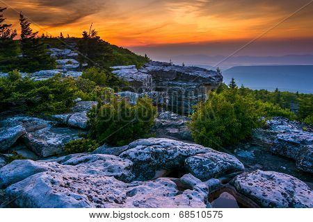 Sunrise At Bear Rocks Preserve, In Dolly  Sods Wilderness, Monongahela National Forest, West Virgini