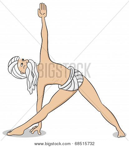 Yogi Who Practices Yoga
