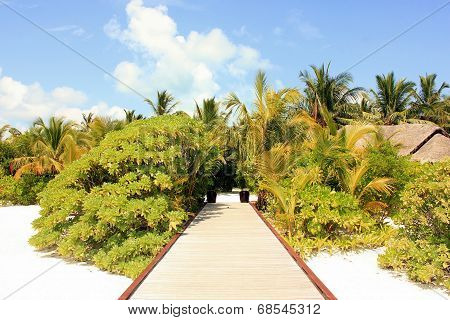 Maldives view2