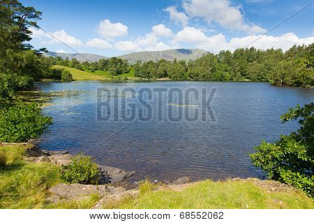 Tarn Hows Lake District National Park Cumbria England uk