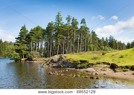 Tarn Hows Lake District National Park Cumbria England uk