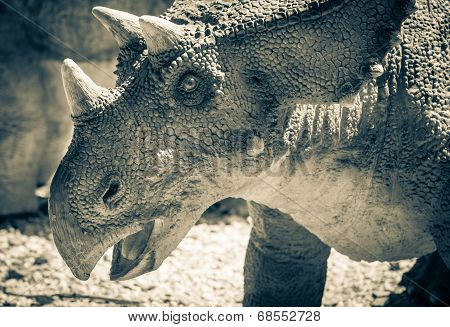 Realistic Model Of Dinosaur - Chasmosaurus